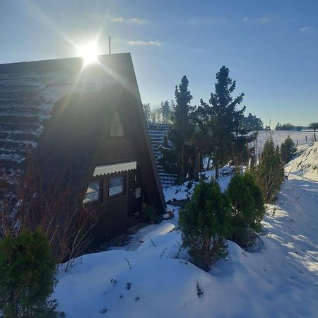 Haus Am See Willingen Willingen  Exteriör bild