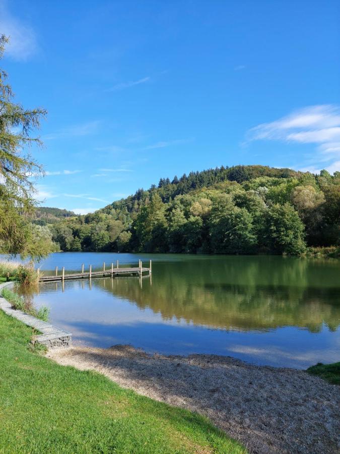 Haus Am See Willingen Willingen  Exteriör bild