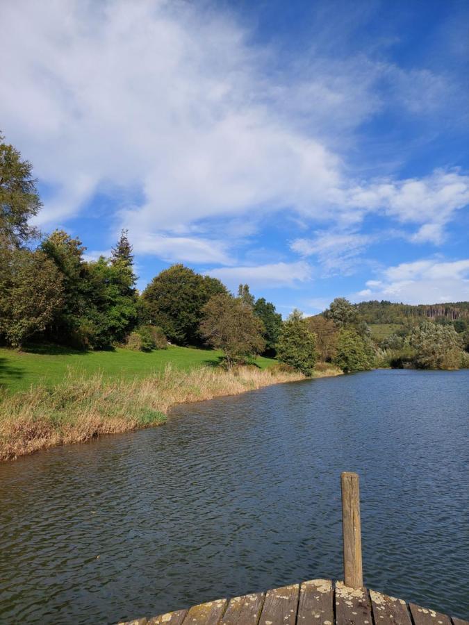 Haus Am See Willingen Willingen  Exteriör bild