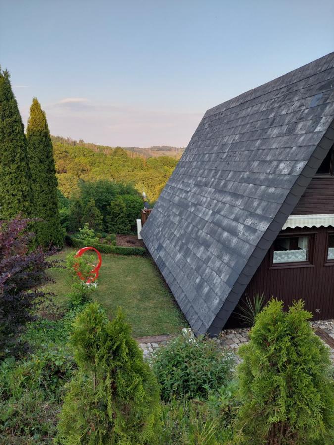 Haus Am See Willingen Willingen  Exteriör bild